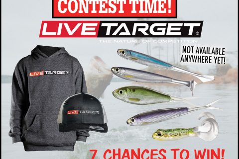 LIVETARGET Contest