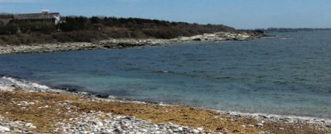 Jamestown Fishing Guide