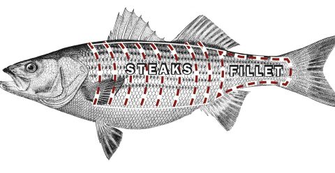 Recipe: Spicy Striper Steaks