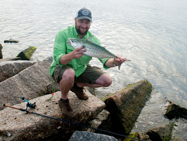 How to Catch Bonito and Albies From Shore