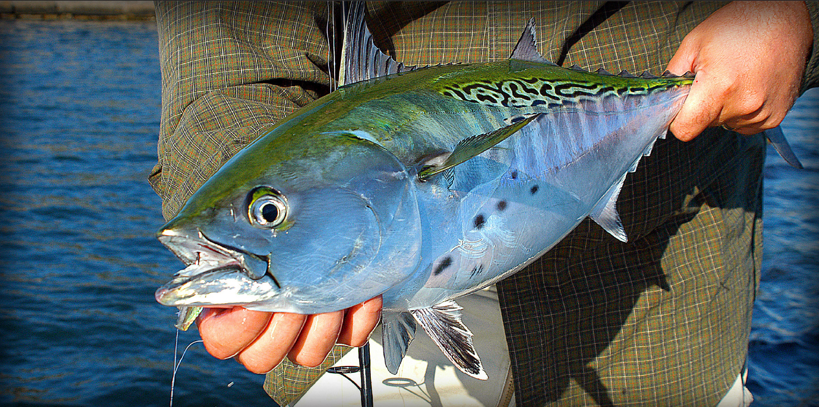 MACKEREL FISHING LURE SWIMBAIT SALTWATER 5 inches tuna striper green