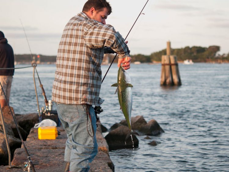 How to Catch Bonito and Albies From Shore