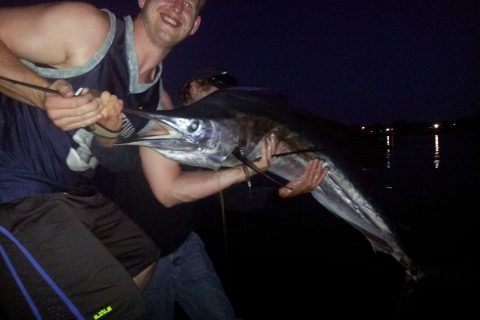 Report: Sailfish Caught in Cape Cod Canal (Video & Photos)