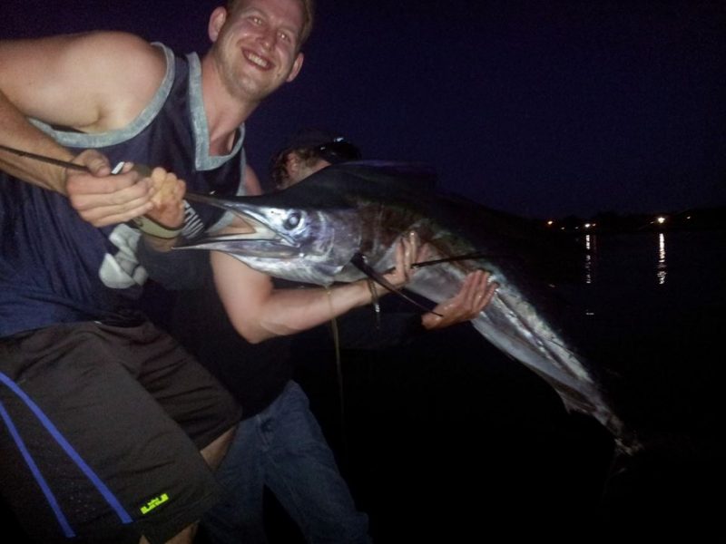 Report: Sailfish Caught in Cape Cod Canal