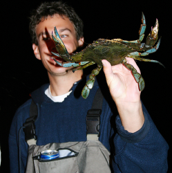 Blue Crabbin' Basics