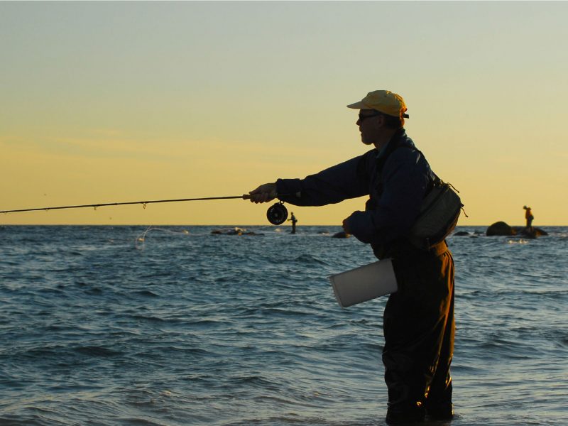 Choosing the Right Line for Freshwater fishing applications 