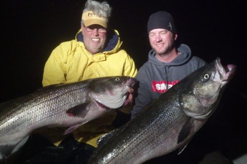 Reader E-Mail: Searching For Stripers in Cape Cod Bay