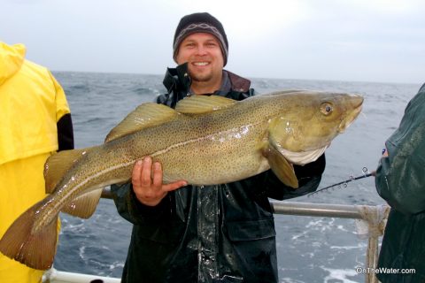 Jersey Winter Wreck Trip