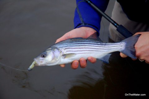 River Hopping in Connecticut