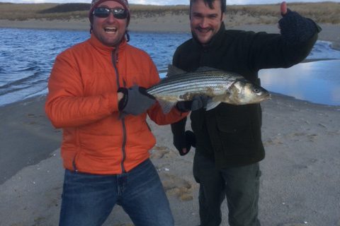 Last Mass Bass of 2013