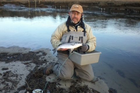 First Mass Bass of 2014