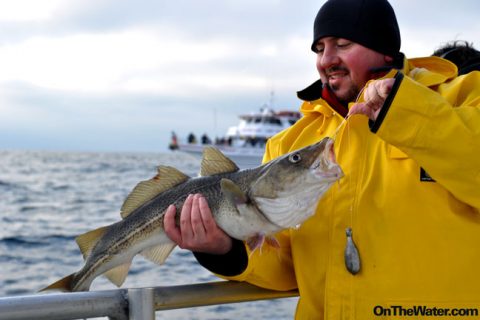 Winter Cod Fishing