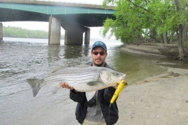 10003969_10152221482748366_3351404766870922455_n