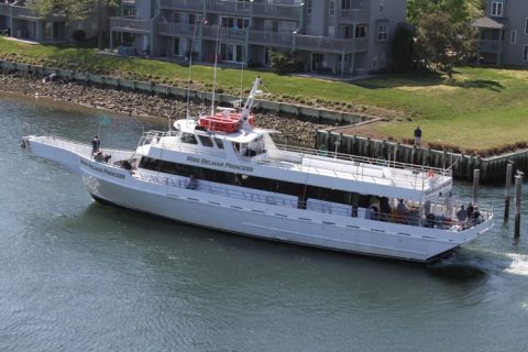 Party Boat Bluefish 5-30-14 (Miss Belmar Princess)
