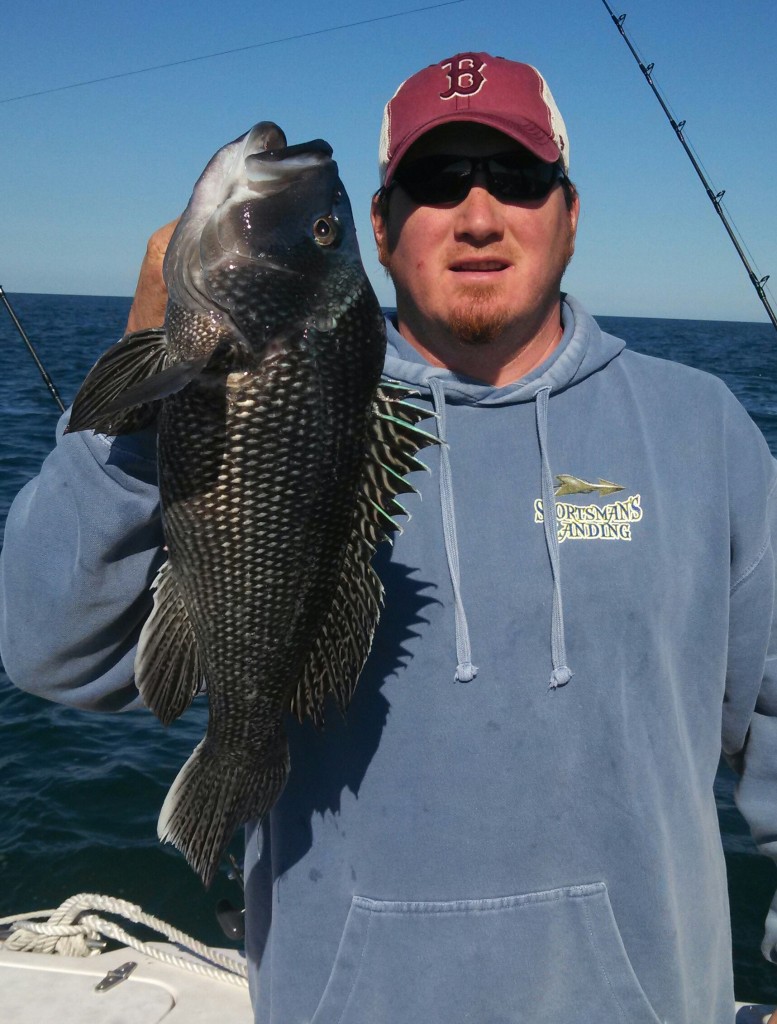 Jim Egan with a large sea bass taken at Bishop & Clerks.