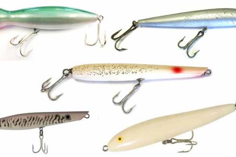 Top 5 Topwater Plugs for Stripers in the Surf