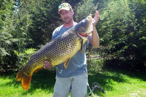 New Record Carp Caught in Lake Champlain, Vermont