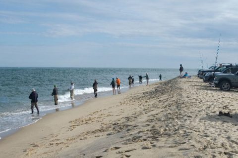 Surfcasting the Vineyard