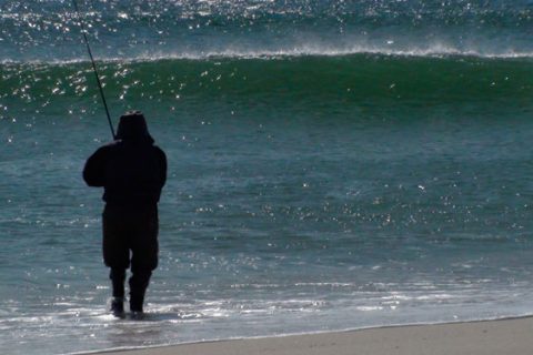 Bunker, Bass & Beaches