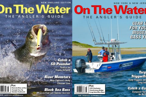 This Month&rsquo;s Issue: August 2014