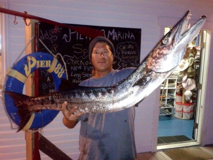 Photo of barracuda shared on the Facebook page of  First Fish Adventures.