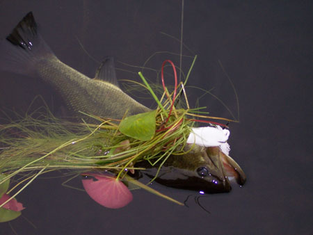 5 Best Weedless Lures for Bass Fishing in the Thick Stuff - Wide