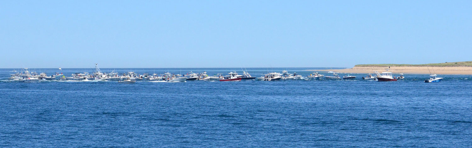 The fleet at Race Point on June 24th, 2014. Photo courtesy of Nathan Chapman.