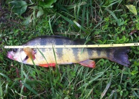 Southeastern Pennsylvania Fishing Report
