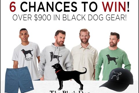 The Black Dog