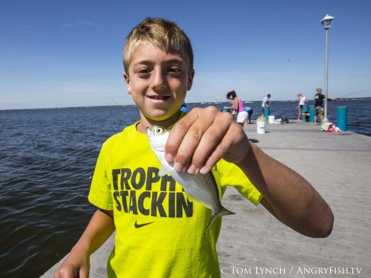 Anthony Pizzuti enjoys the fast action with snapper blues. 