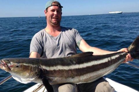 36 Pound Cobia Breaks Rhode Island Record