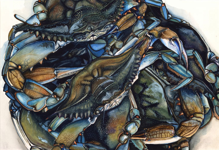Crazy for Blue Crabs - On The Water
