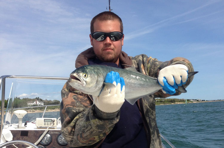 Erick Coates found topwater bluefish out of Lower Marion this week.