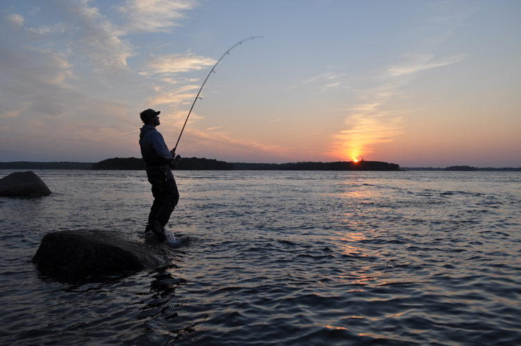 Four Top Spots for Fall Surfcasting in Massachusetts - On The Water