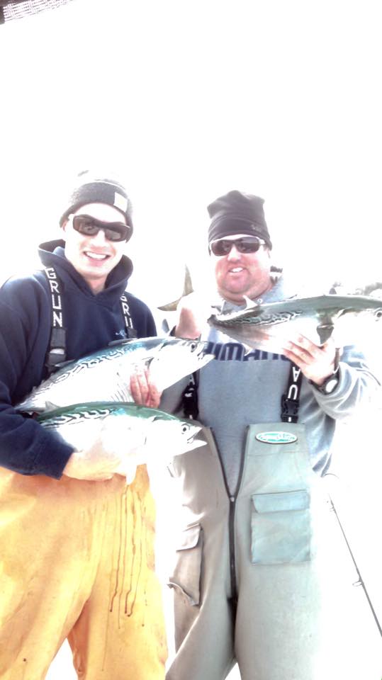 Andrew Nichols and Josh Bell with a few false albacore that popped up amidst a successful blackfish trip in eastern Long Island Sound.