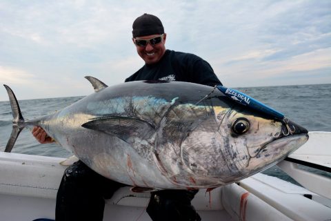 Fishfinder Tech: Pick the Right Transducer for Tuna Fishing