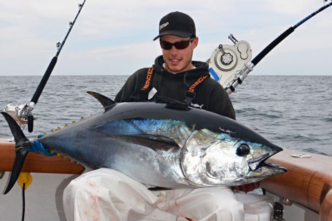 October Bluefin