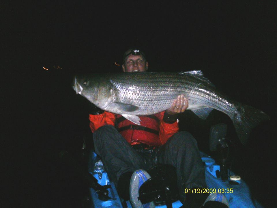 Mark Phillips of Wethersfield CT with a 47-pound striper taken via kayak.