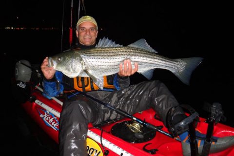 Season’s End Stripers