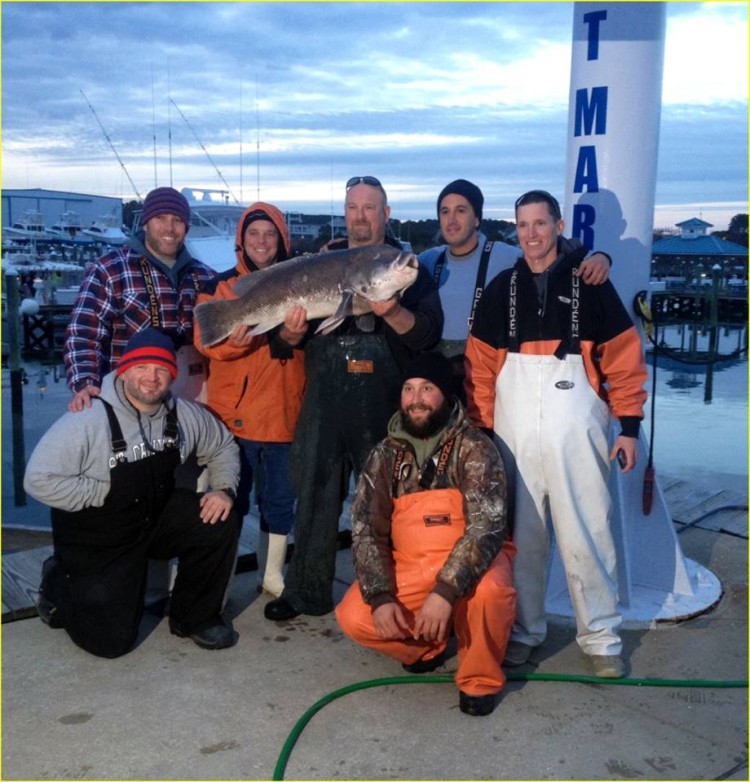 Tautog World Record Blackfish group2