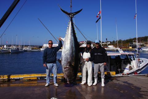 Prince Edward Island Giant Bluefin