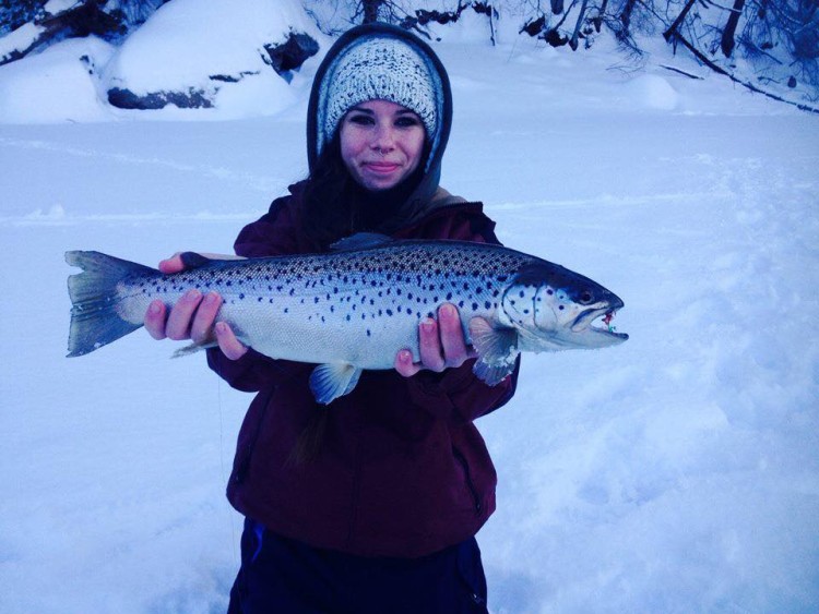 Squantz Pond Brown Trout