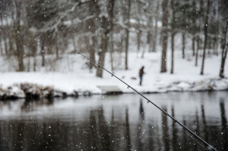 Carp-Fishing-in-Snow