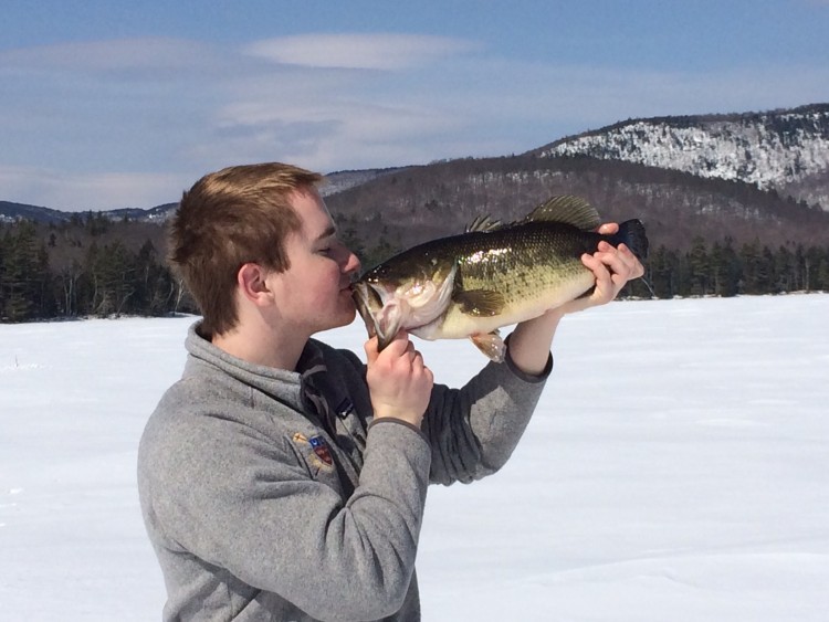 kissing largemouth