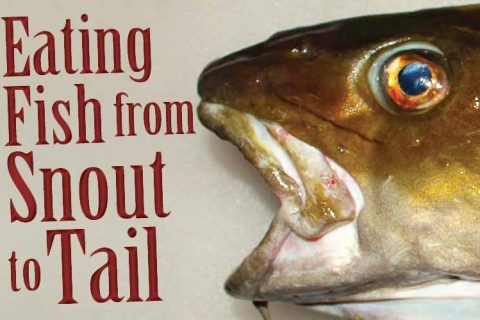 Eating Fish From Snout To Tail