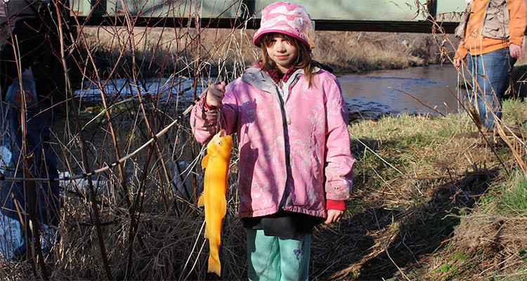 Alixandria's Golden Rainbow