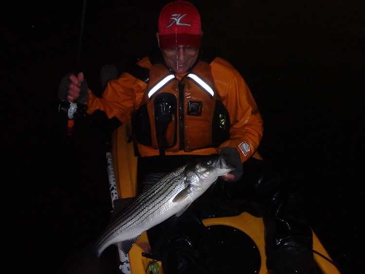 OTW Kayak Columnist Eric Harrison was catching holdover striped bass in the upper reaches of Boston Harbor this week.