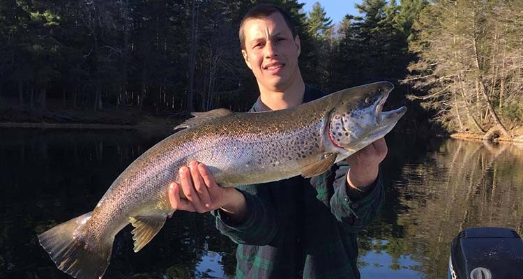 Laszlo Lindinger with a big Seeforellen brown.