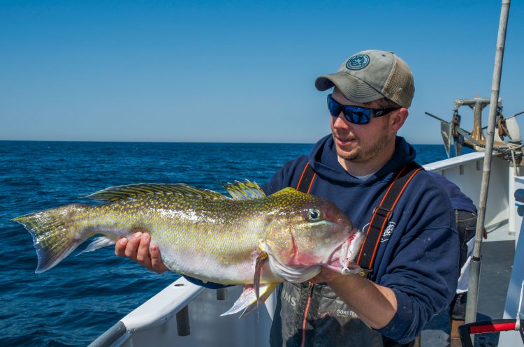 It took two trips to do it, but I finally struck tilefish gold. 