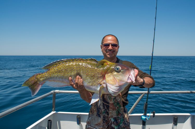 A contender for the Pool Money.